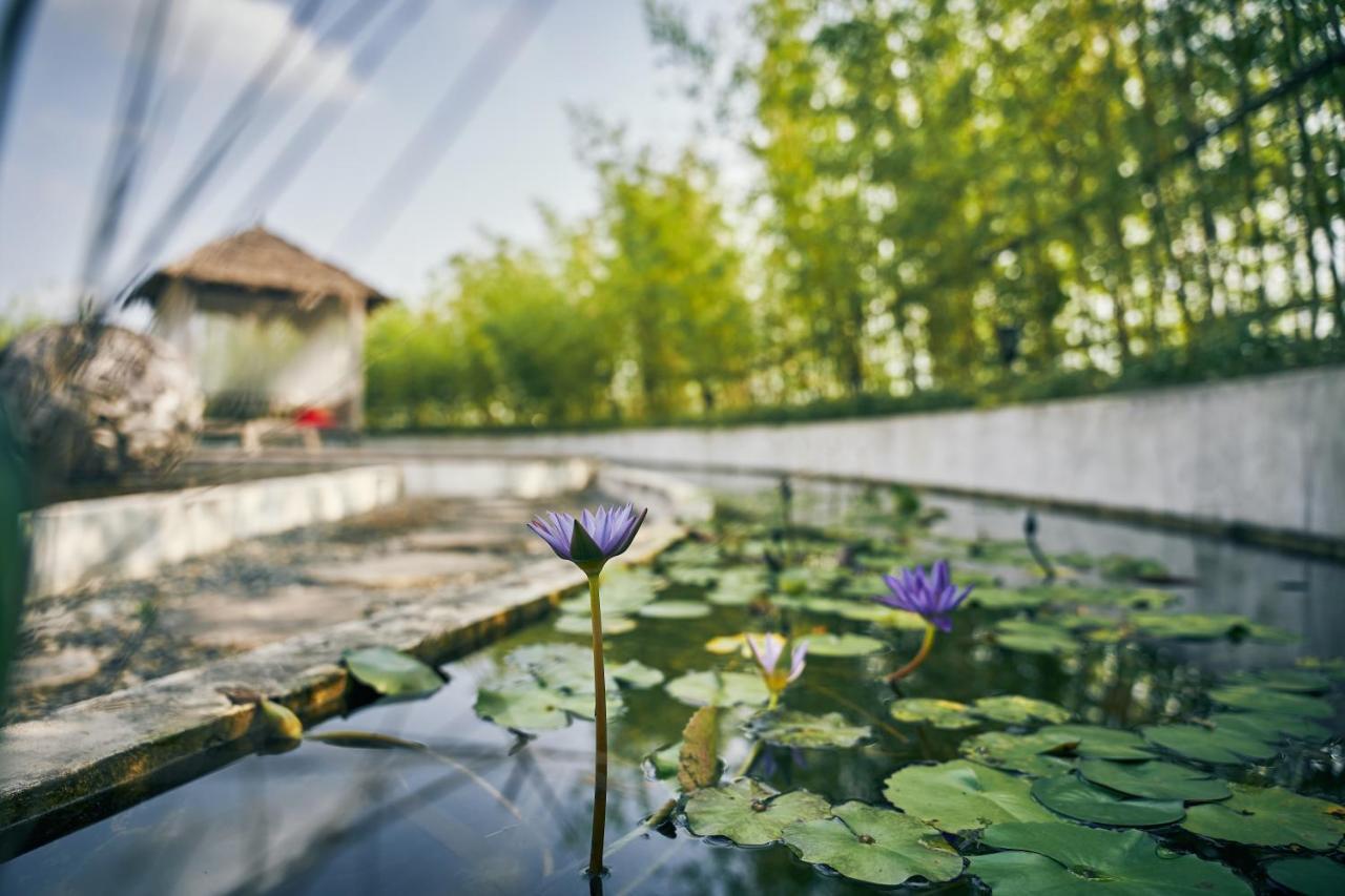 Manli Hotel Shanghai Pudong Airport - Pet Friendly Exterior foto